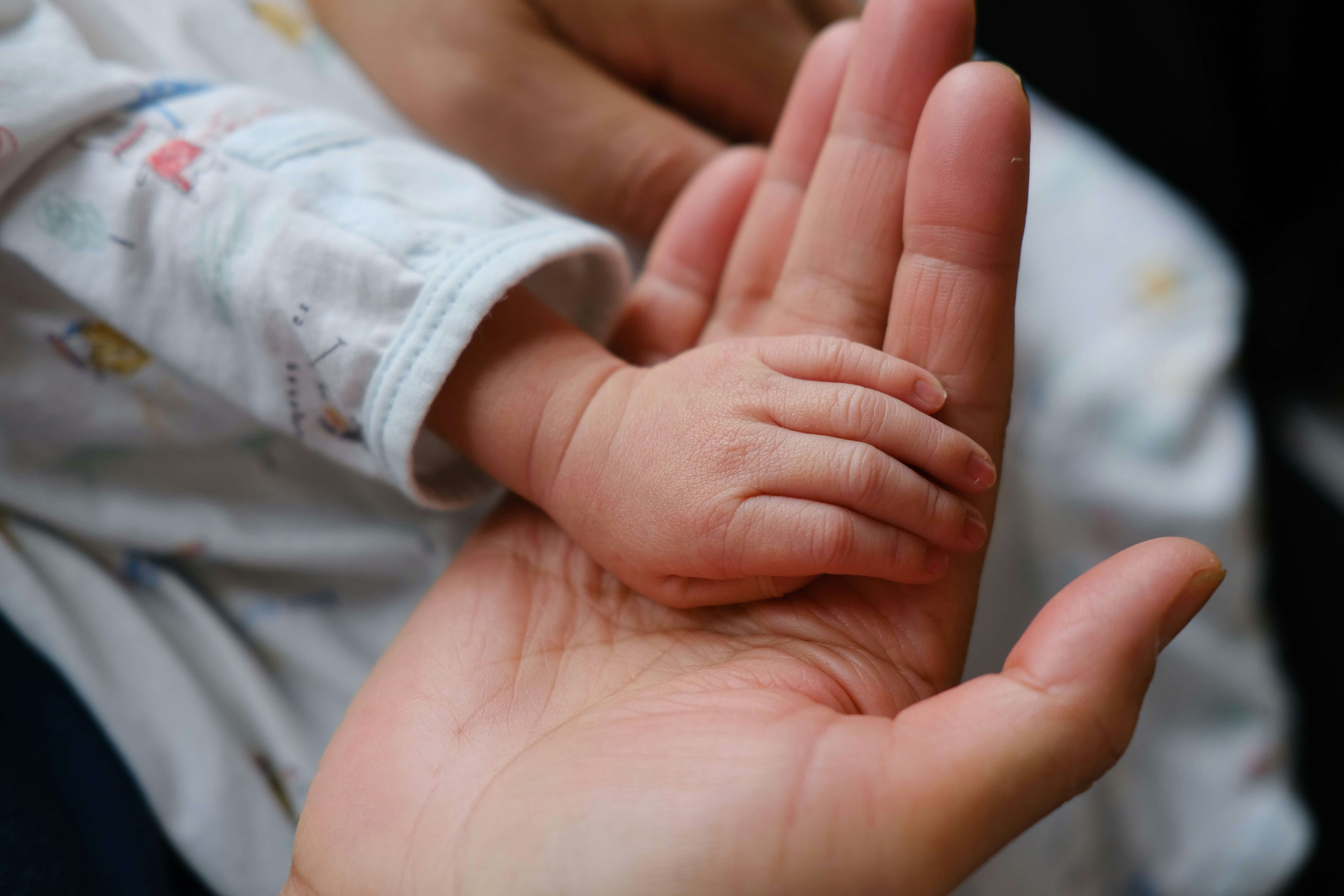 Zum Profil von manna photo