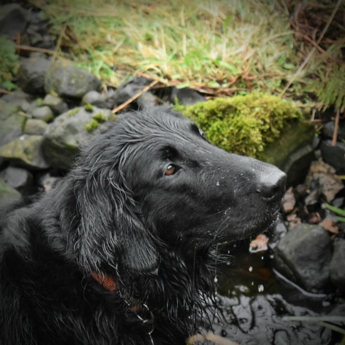 Avatar of user Ruby Love