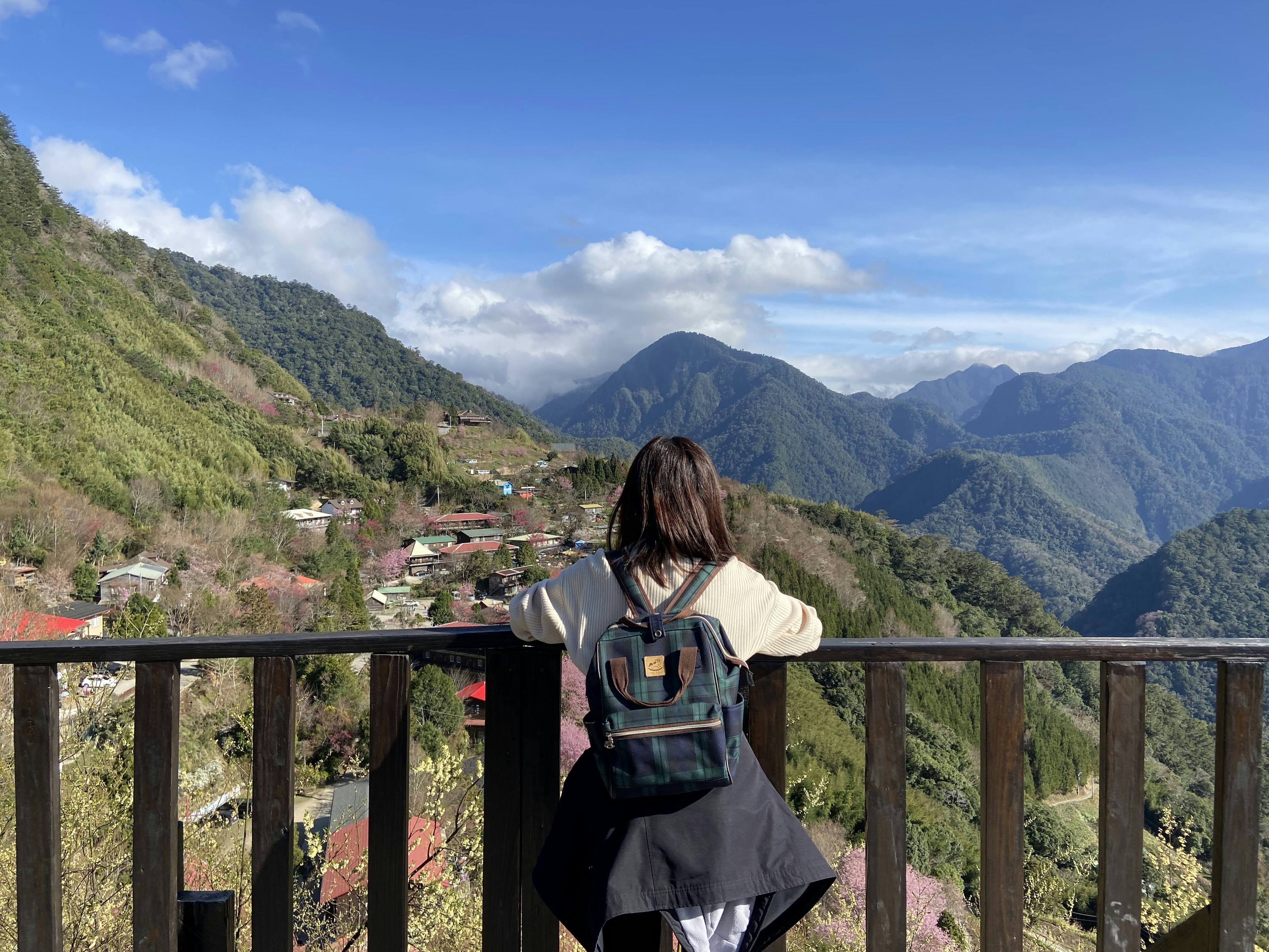 Go to Shannon Hong's profile