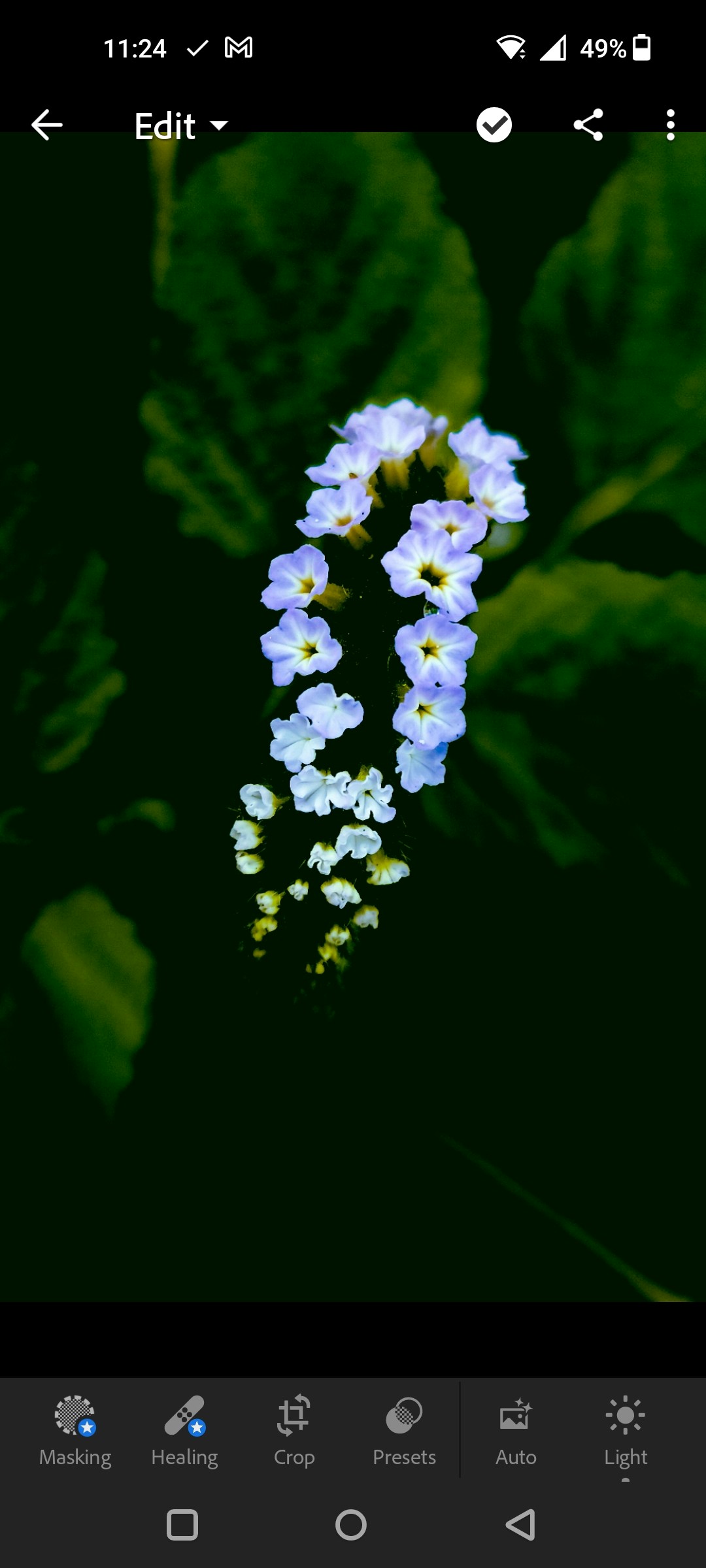 Go to Rumi Khatun's profile