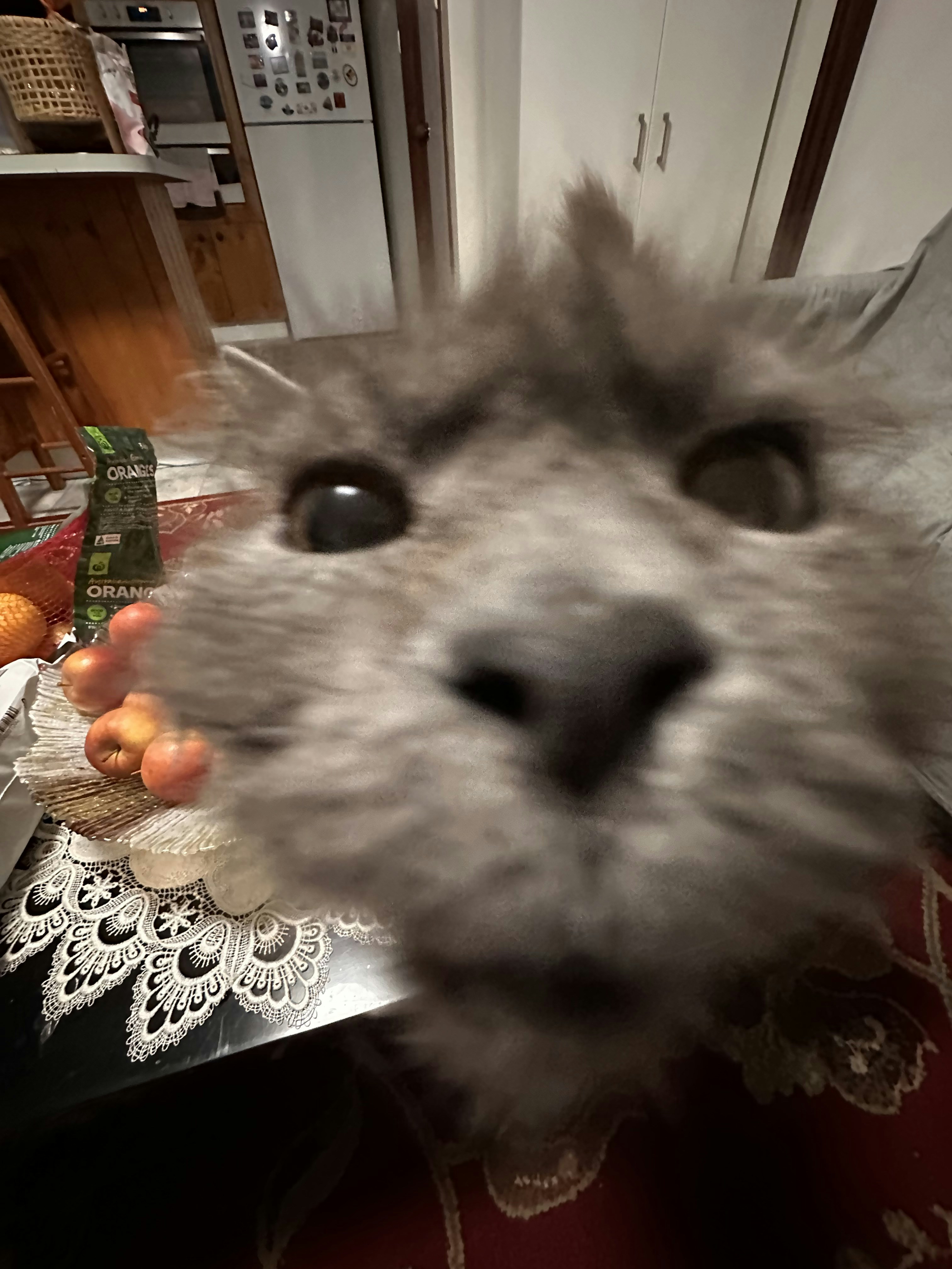 Go to Babies's profile