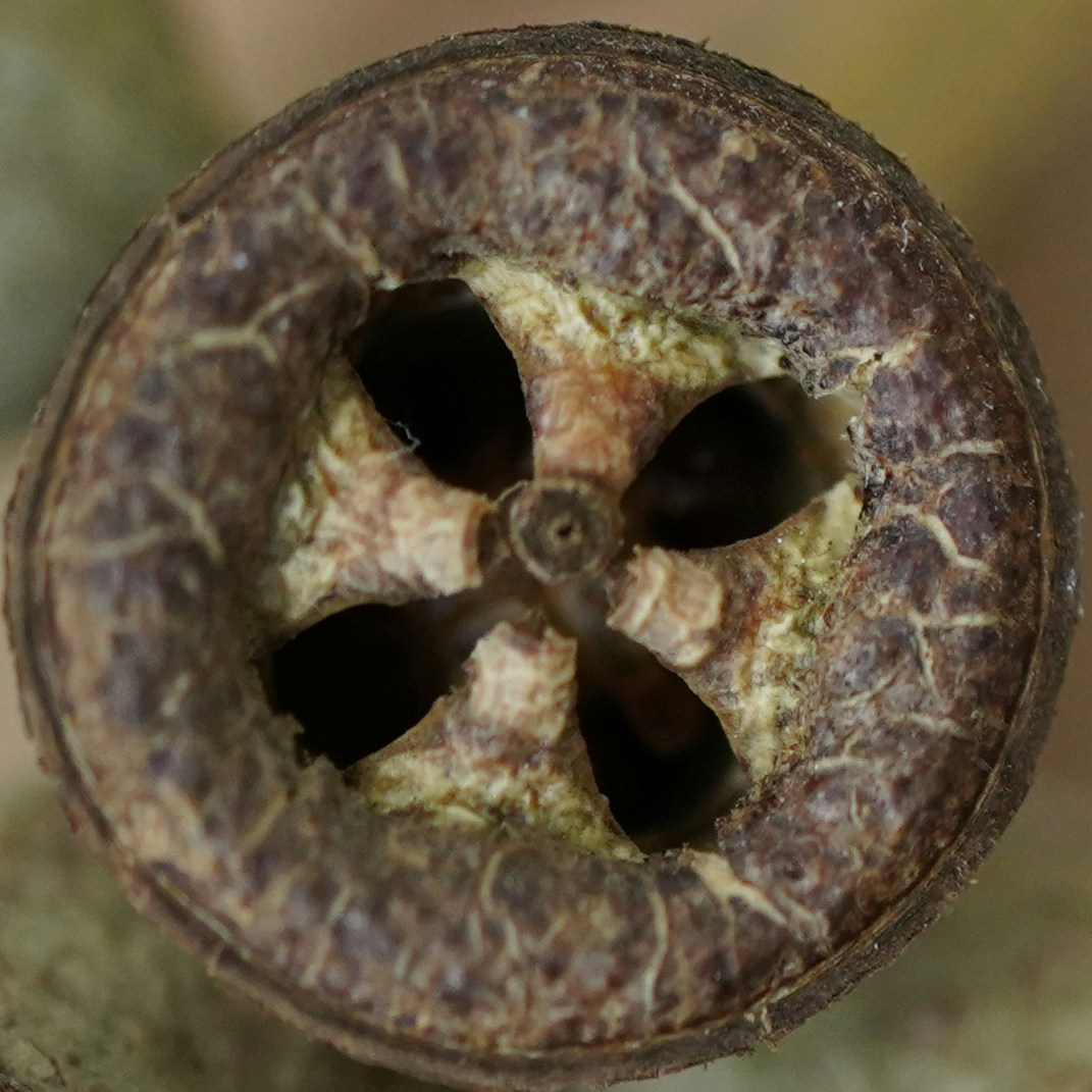 Go to Anya Chernykh's profile