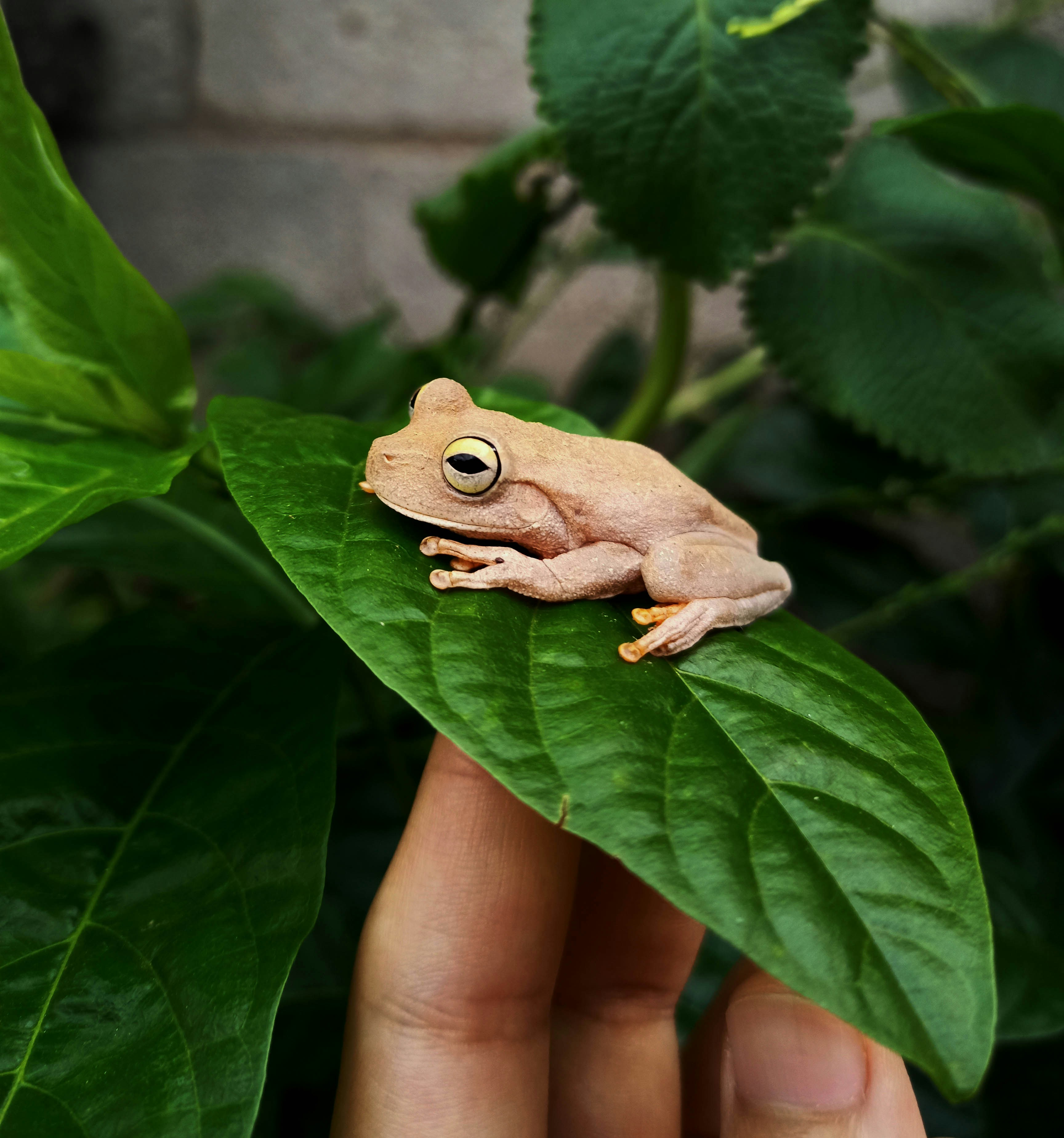 Go to José Wilton's profile