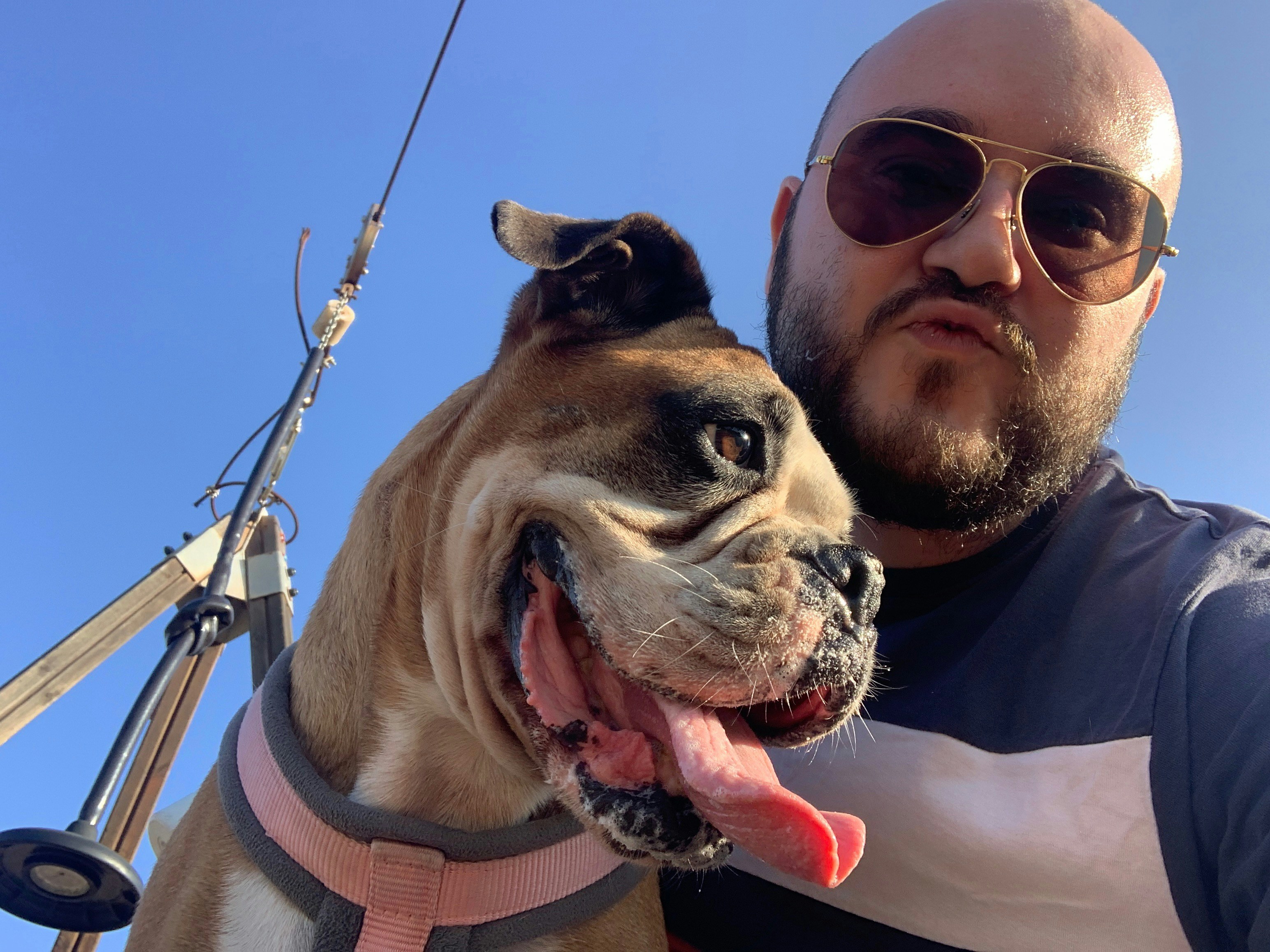 Go to Juan Ellul's profile