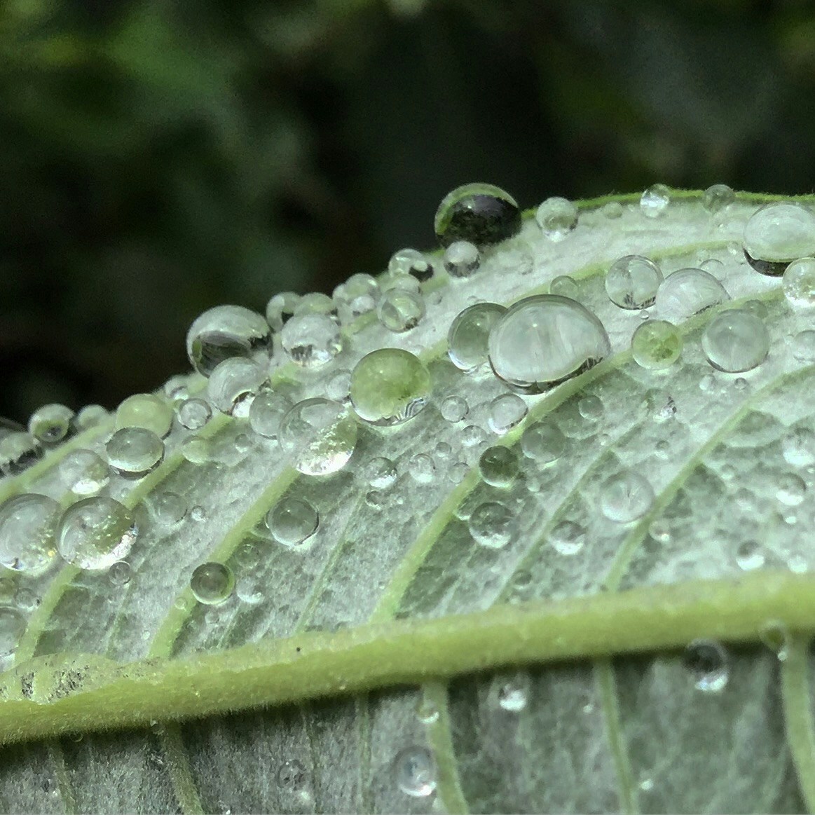 Go to Oliver van der Putten's profile