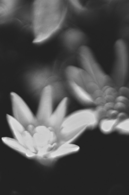 Accéder au profil de ZEIHLUND