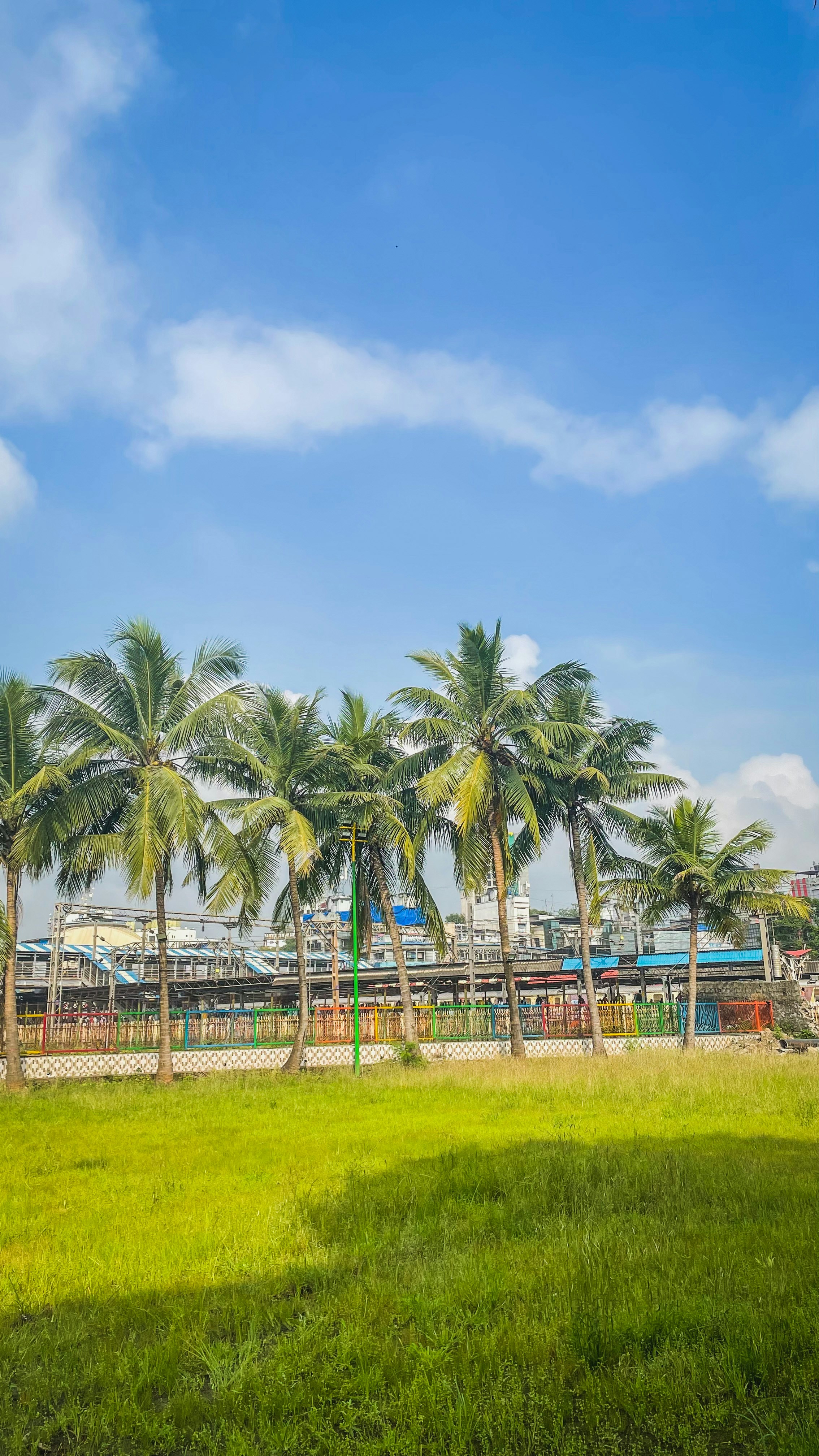 Go to POOJAN THANEKAR's profile