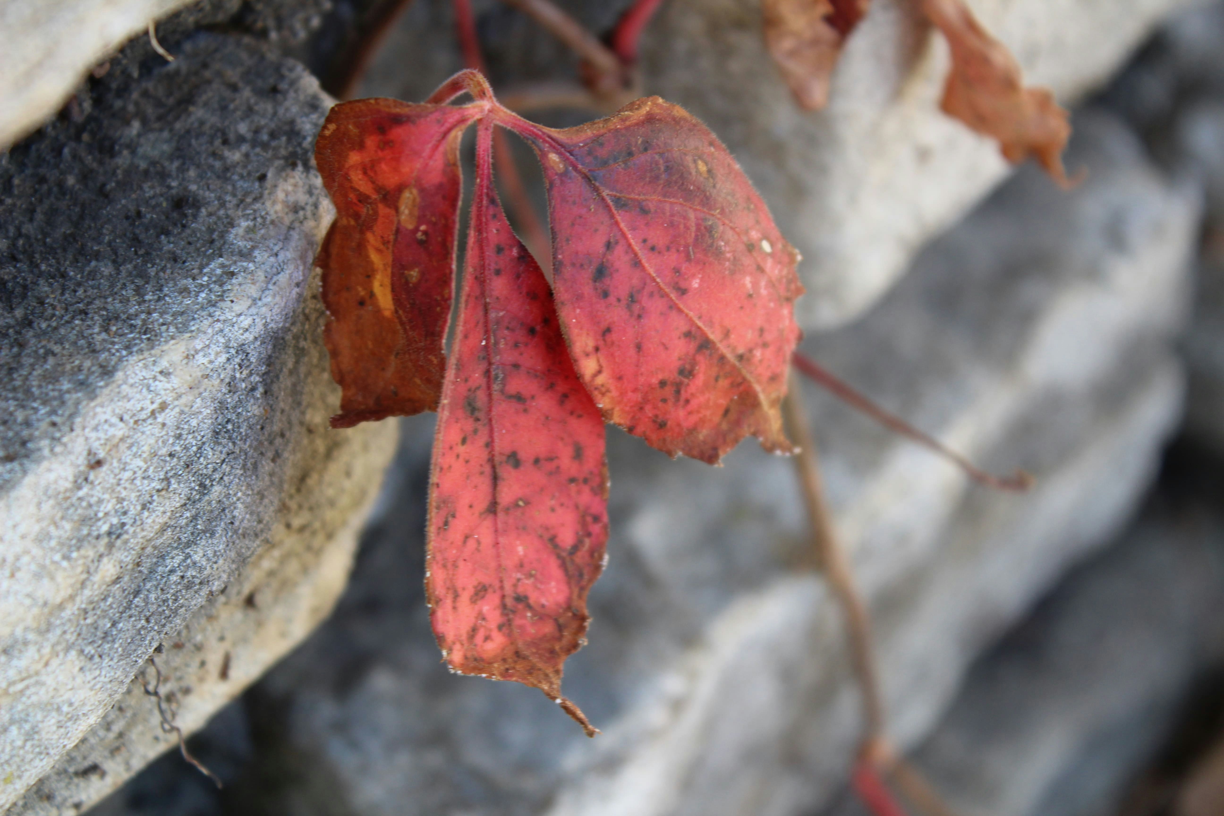 Go to Rebecca Williams's profile