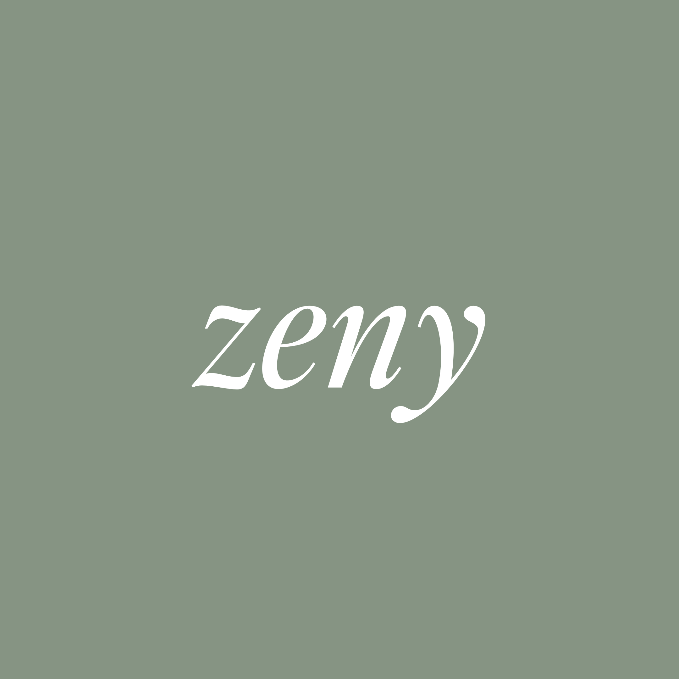 STUDIO ZENY