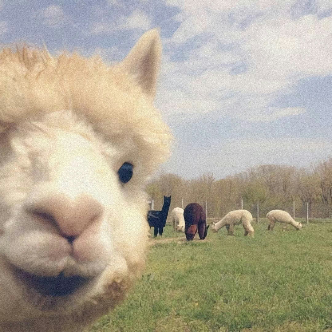 Go to Reese Young's profile