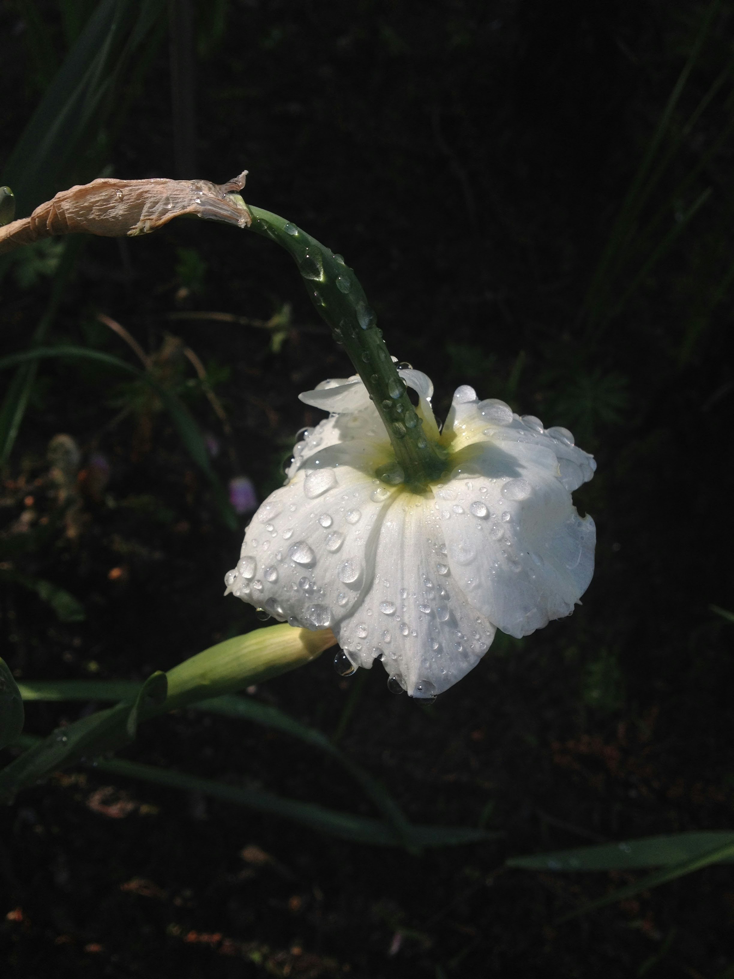 Go to Alex Kei's profile