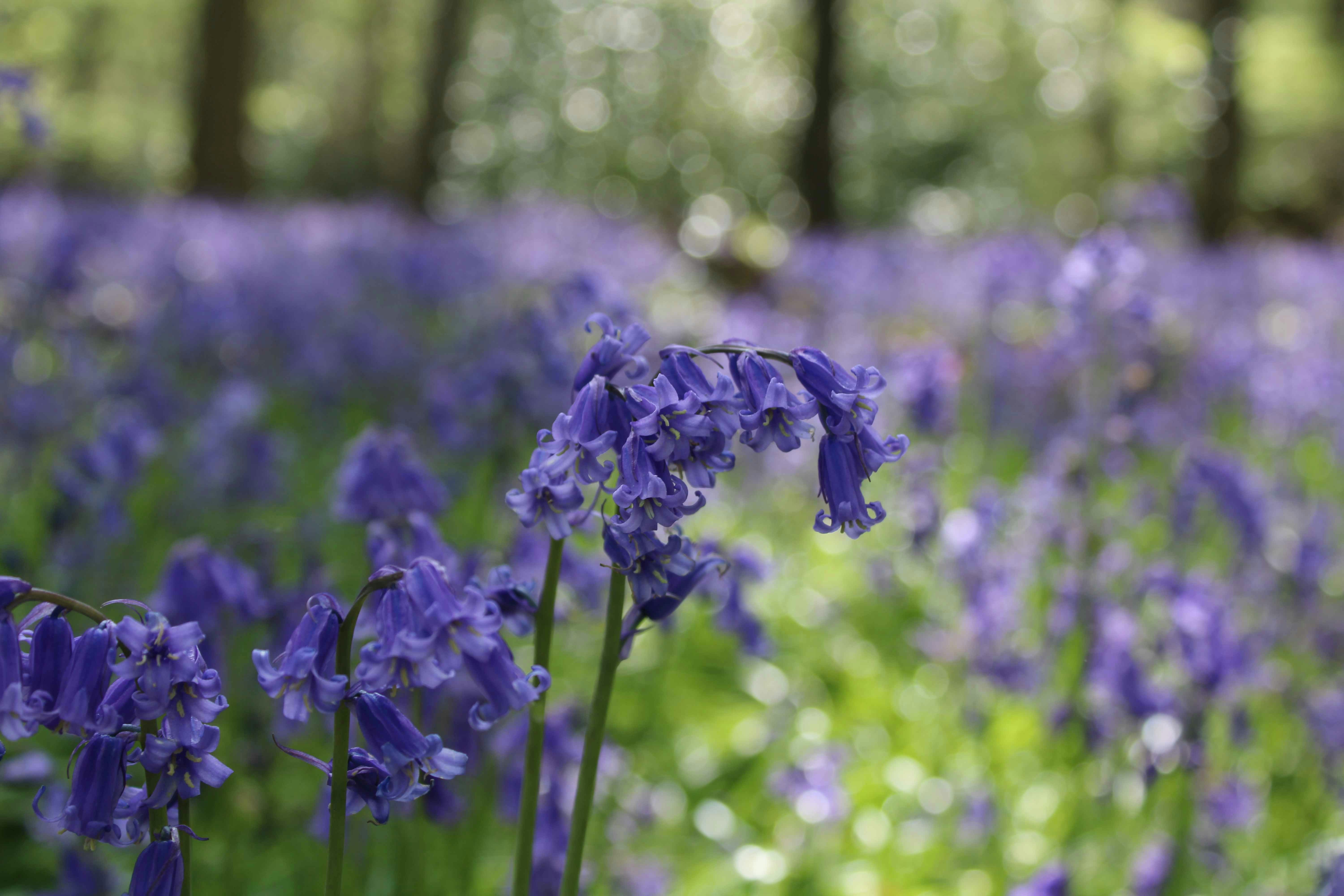 Joe Andrewsのプロフィールを見る