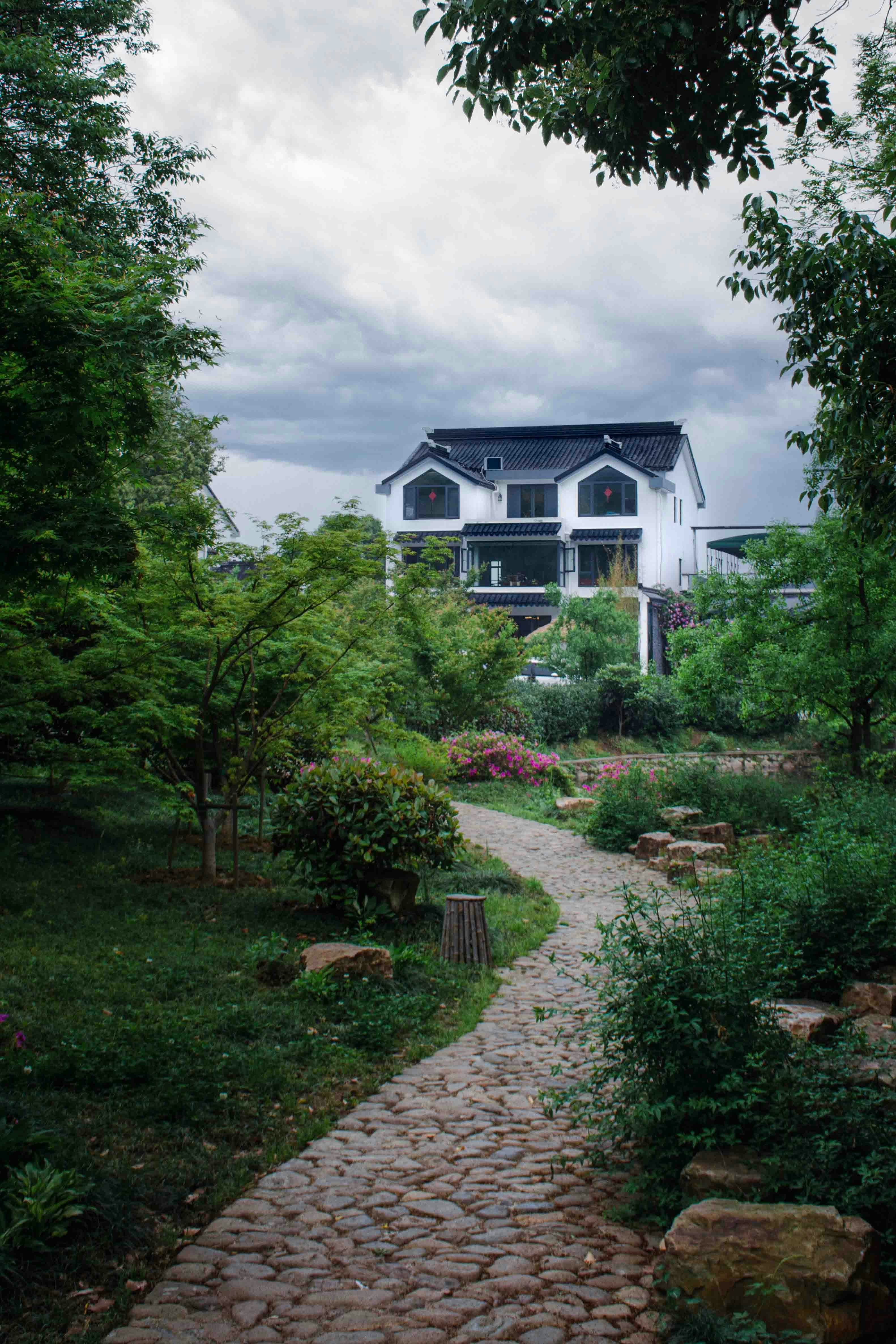 Zum Profil von jing ai