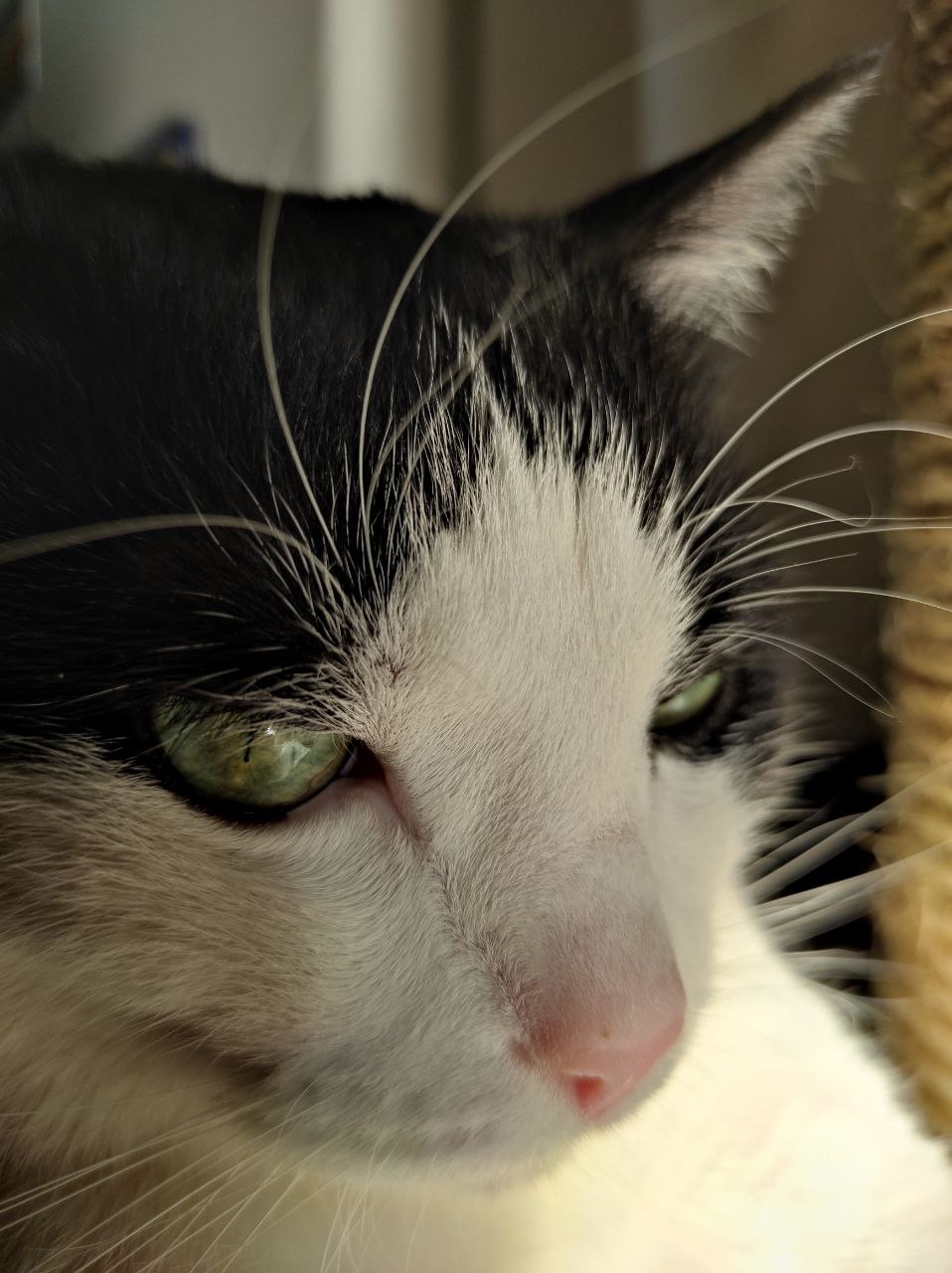 Go to Alex's profile