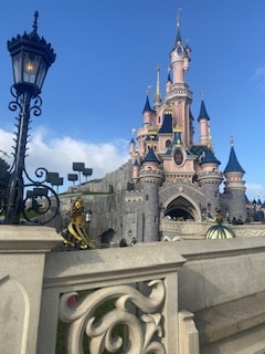 Avatar of user Typhaine Braz