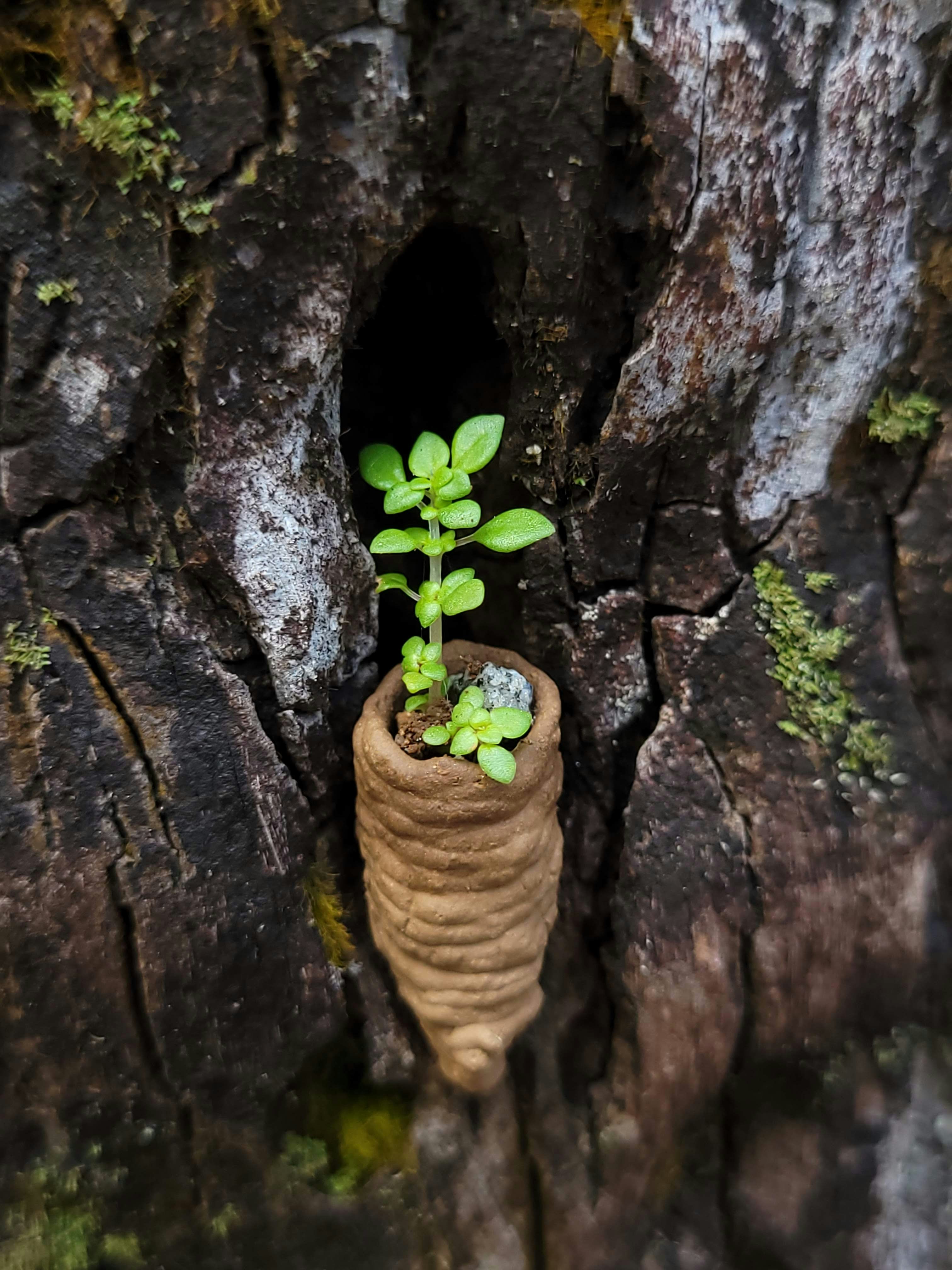 Go to Gorbin Philip's profile