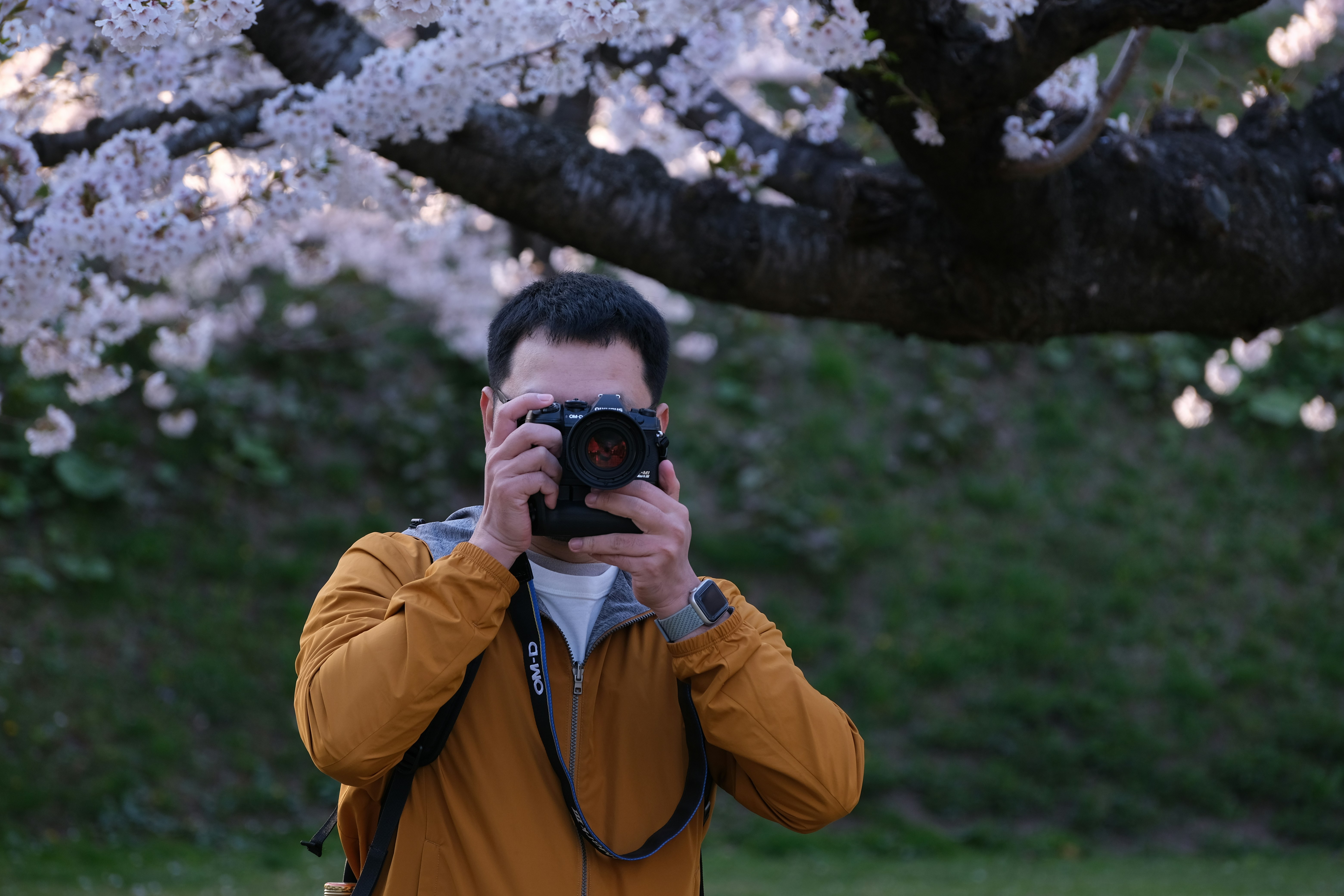 Go to Atthanon Phunpun's profile