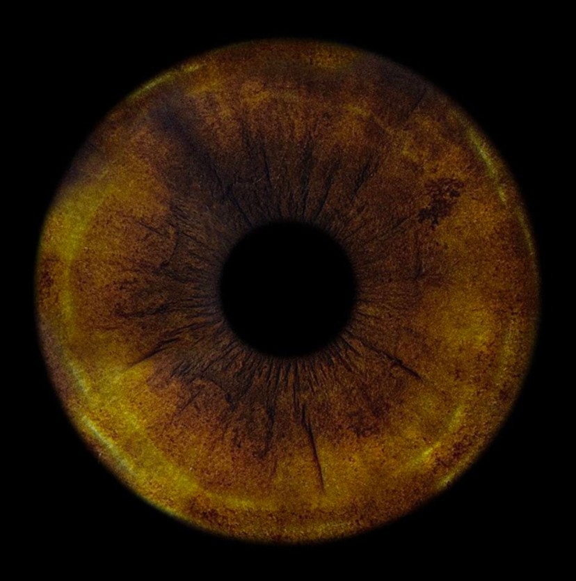 Go to Martin Moroz's profile