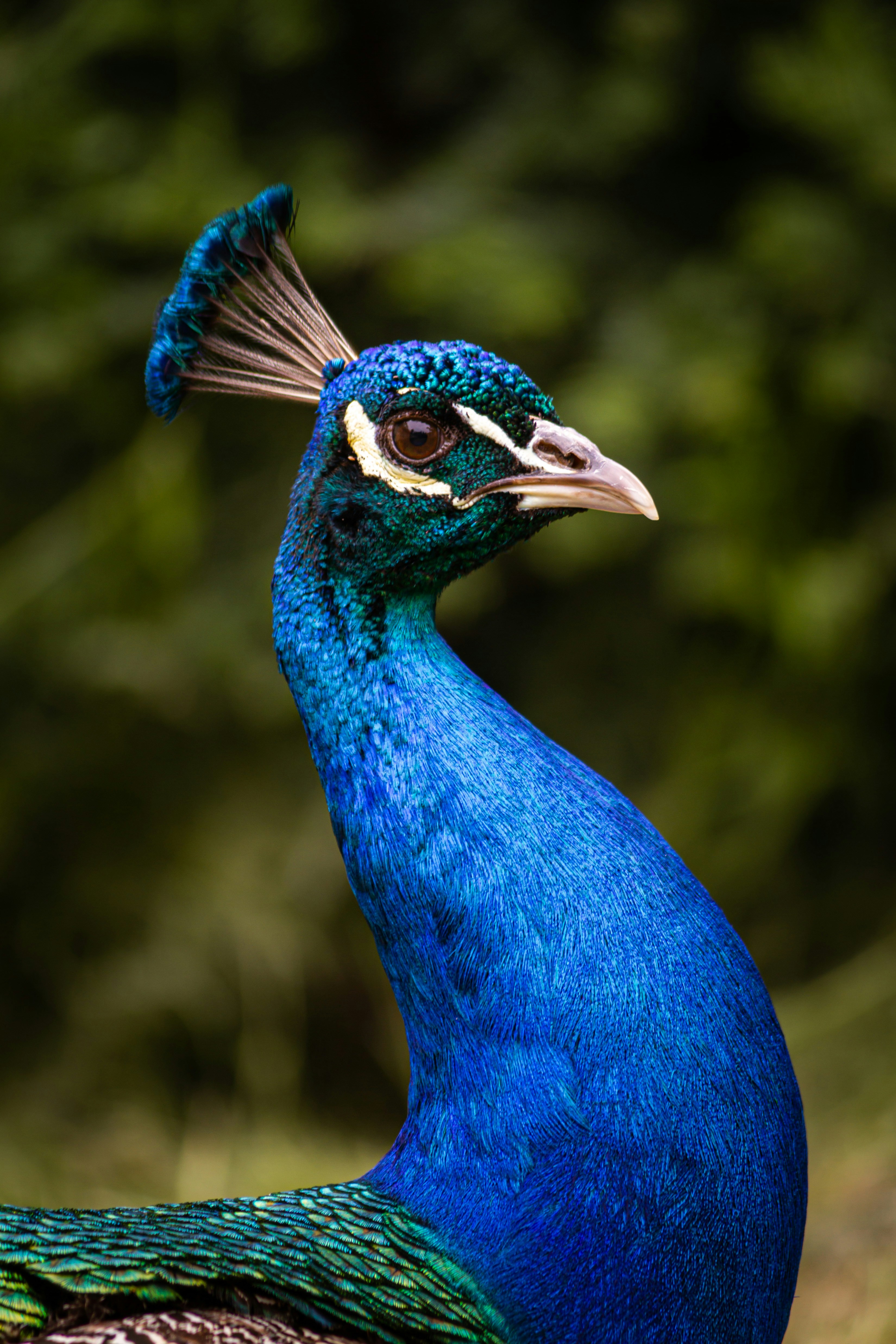 Go to Oliver Sjoberg's profile