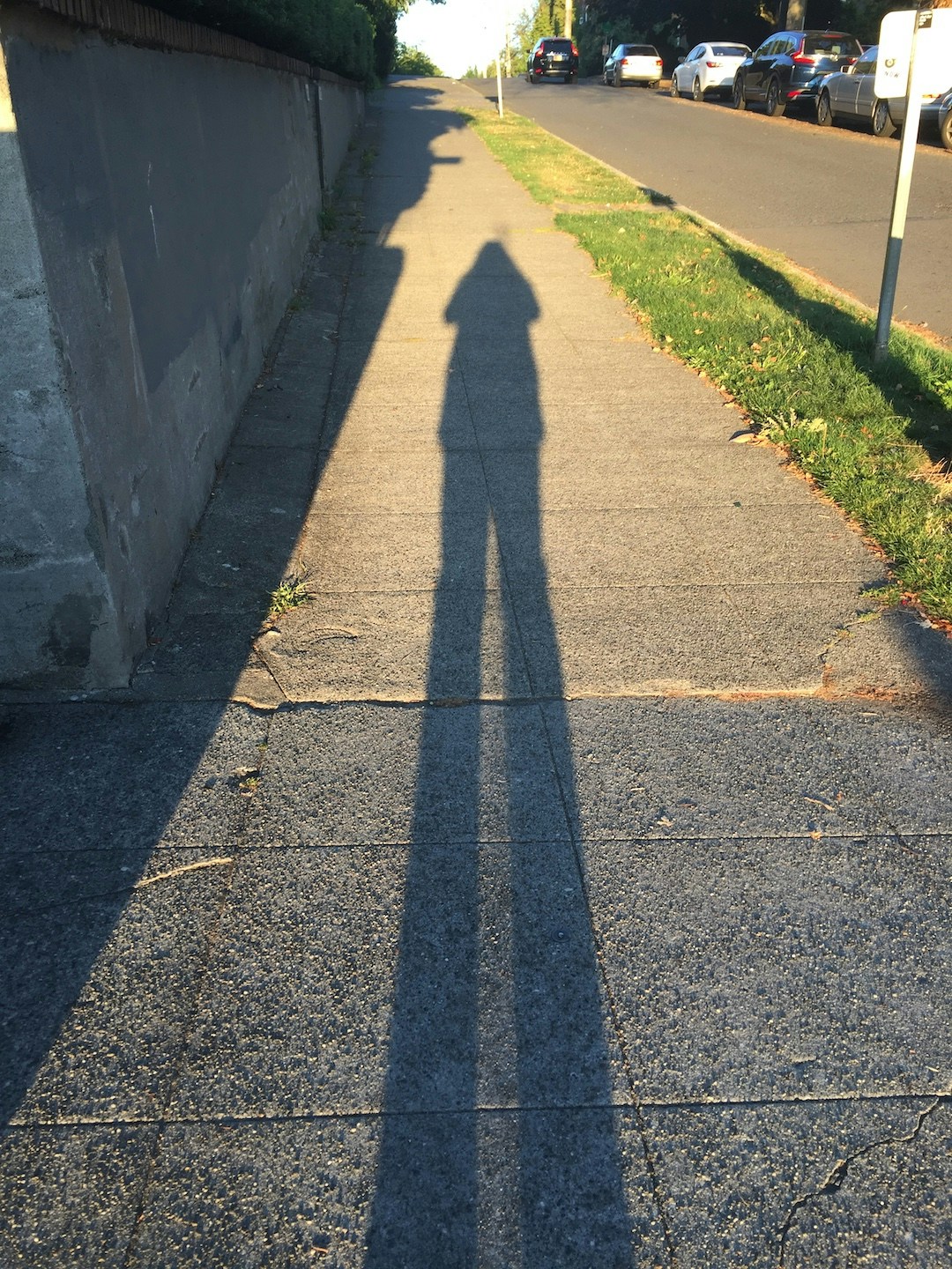 Avatar of user Growling Giraffe