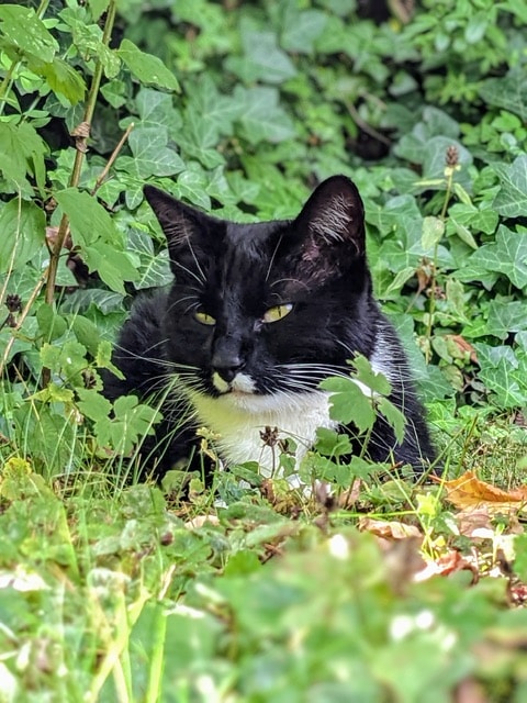 Zum Profil von Franz Großmann