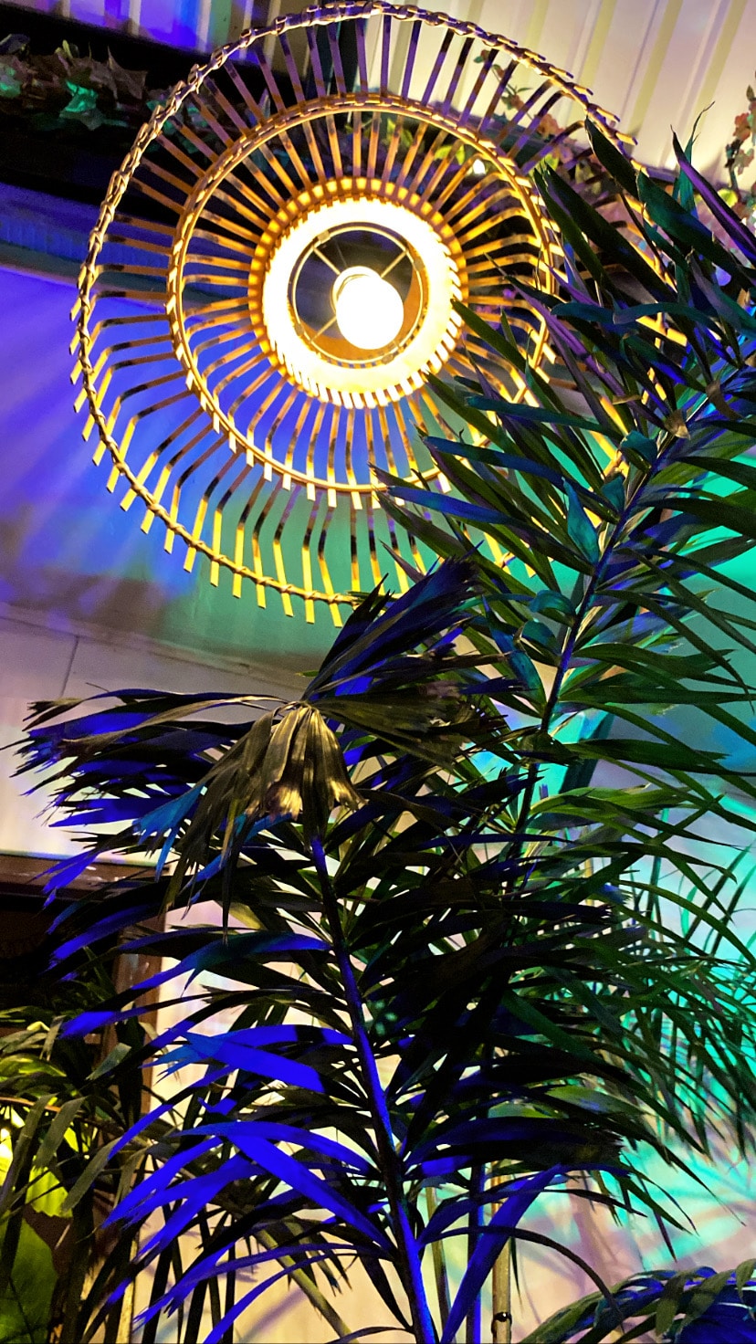 Go to Zaca Photo's profile