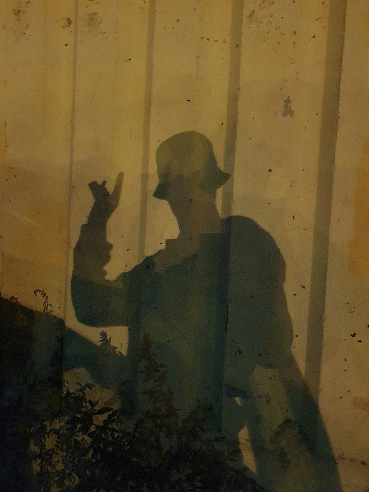 Go to simmel's profile