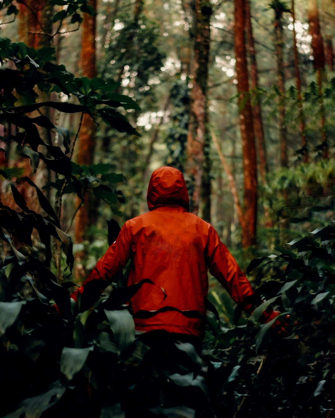 Go to INFINITY LOOPS's profile