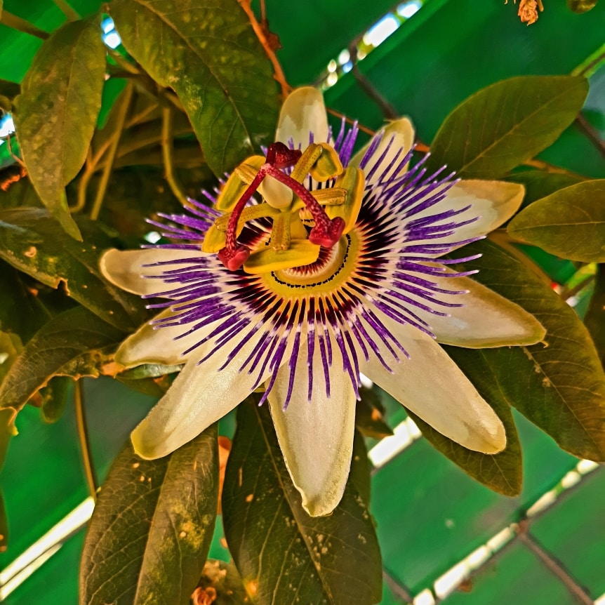 Ve al perfil de PrimeWorld