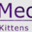 Avatar of user MeoWoof Kittens & Puppies