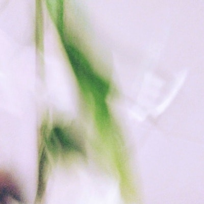 Ve al perfil de Damien Les