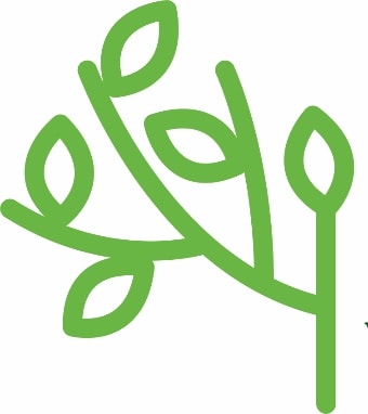 Ve al perfil de Green Incubator