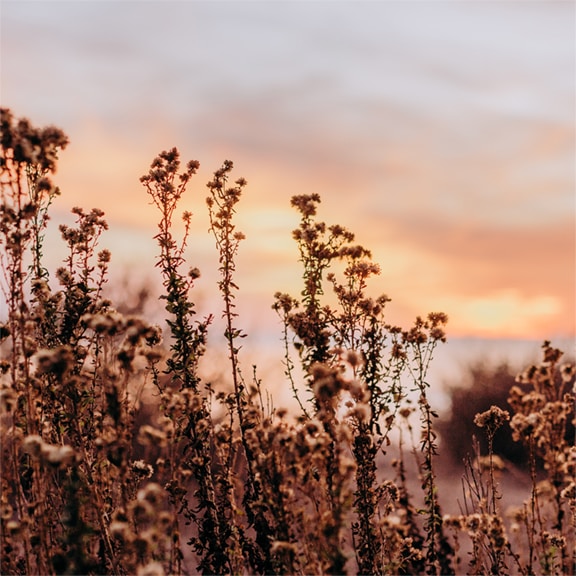 Go to Shandi Nicole's profile