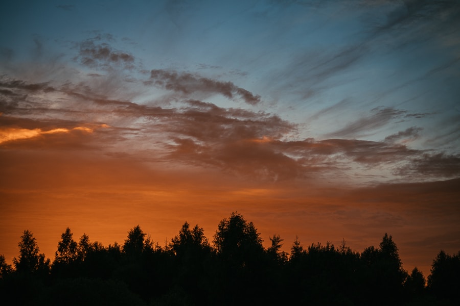 Go to kub liz's profile