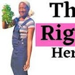 Avatar of user African Herbalism