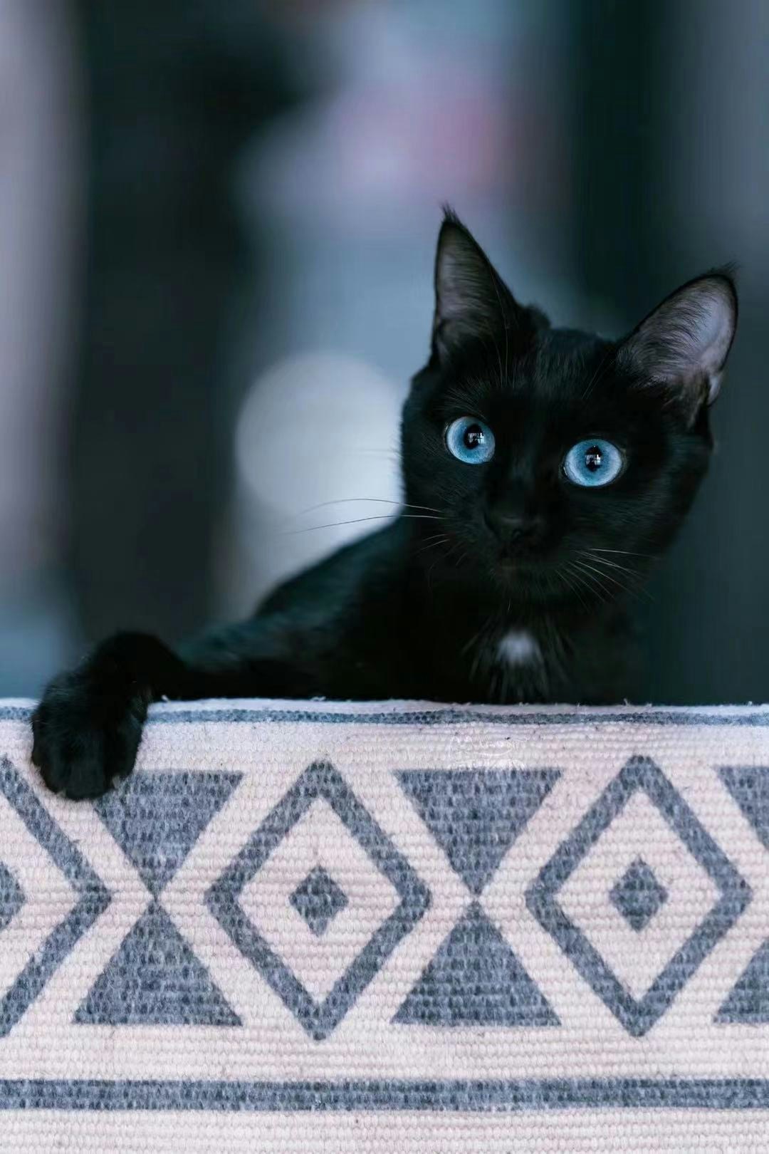 Go to Yifan Song's profile