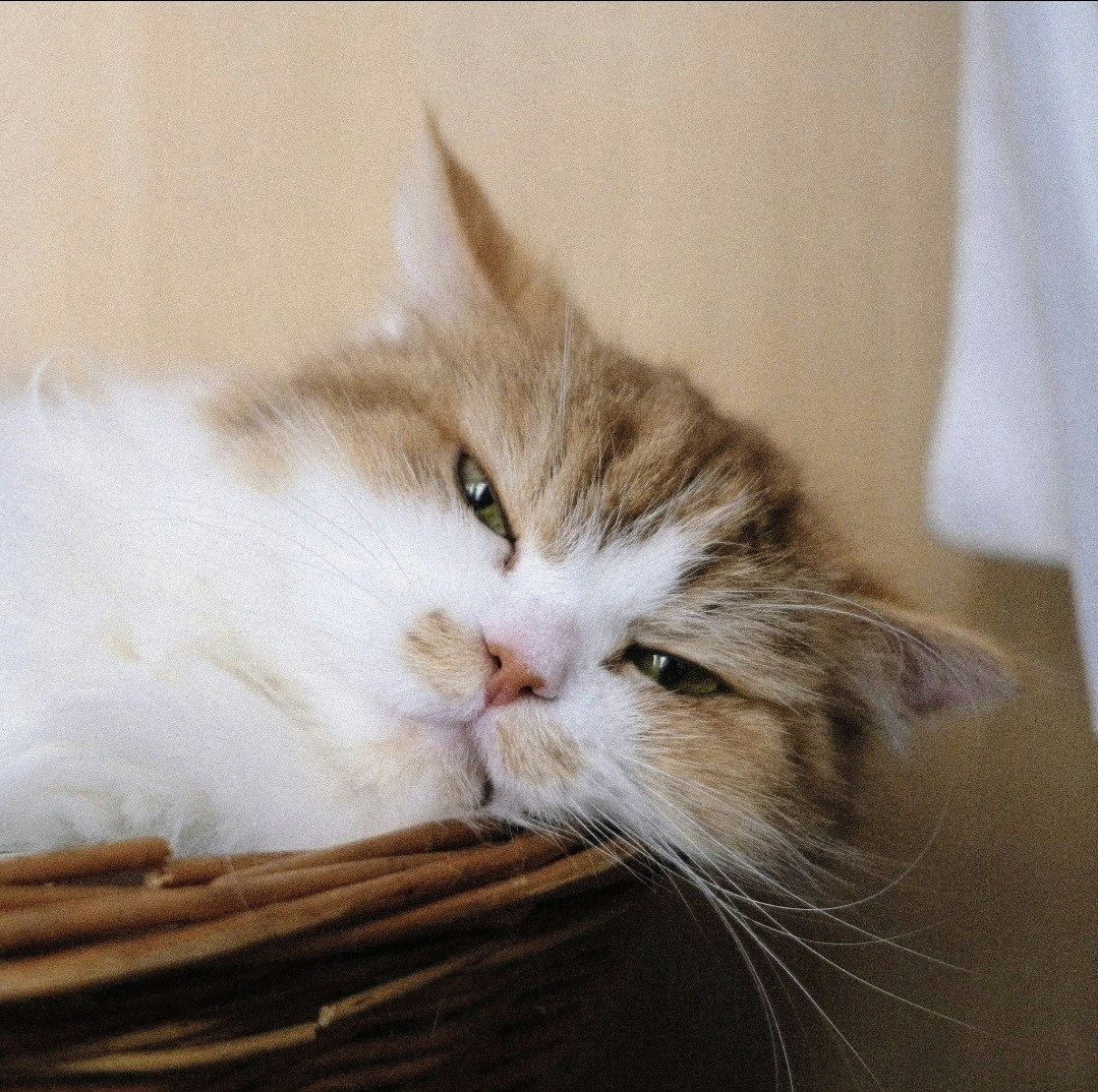 Avatar von Benutzer isarisariver