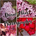 Avatar of user Owen Allee Photography