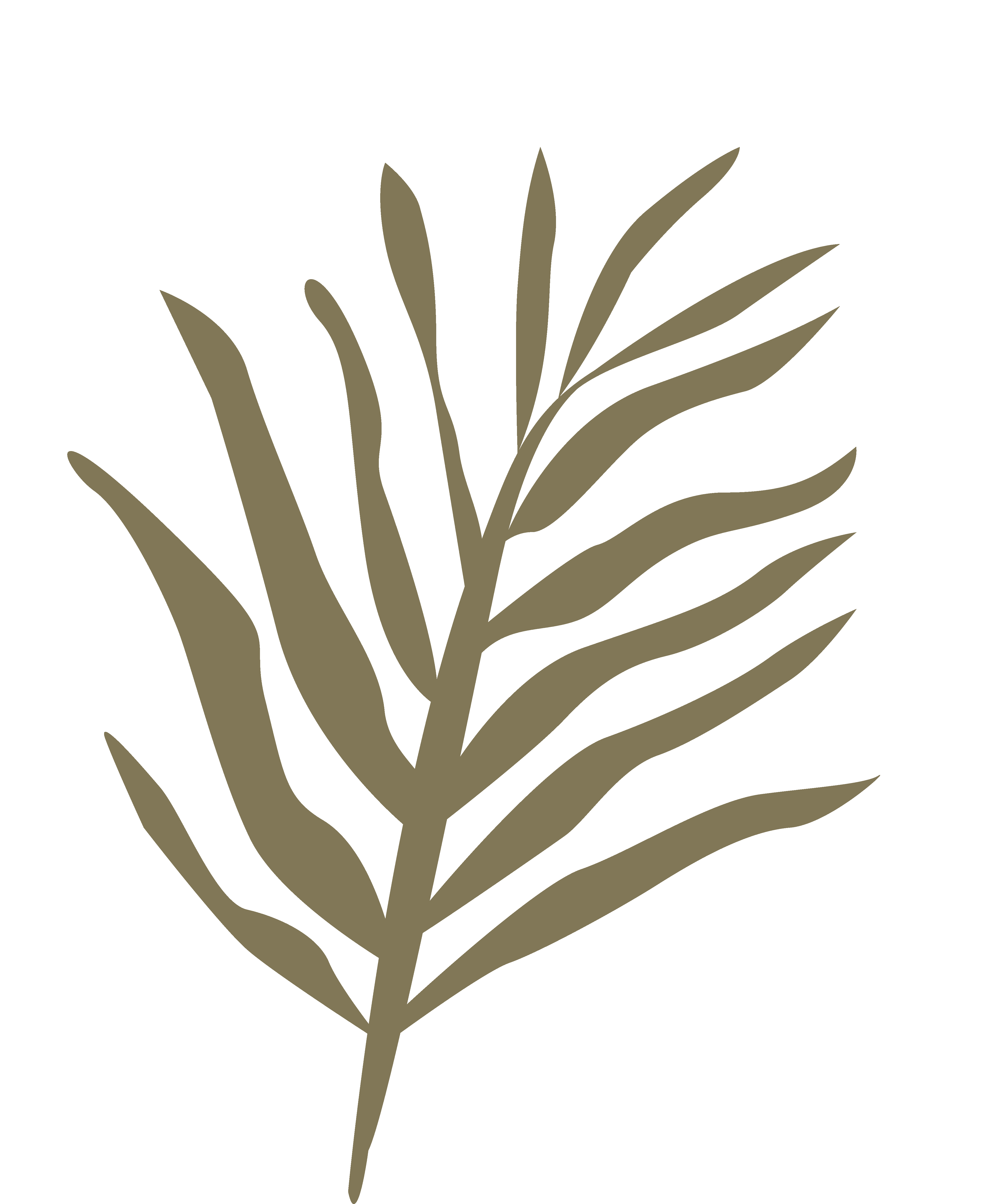 Go to Ekin Deniz Çoban's profile