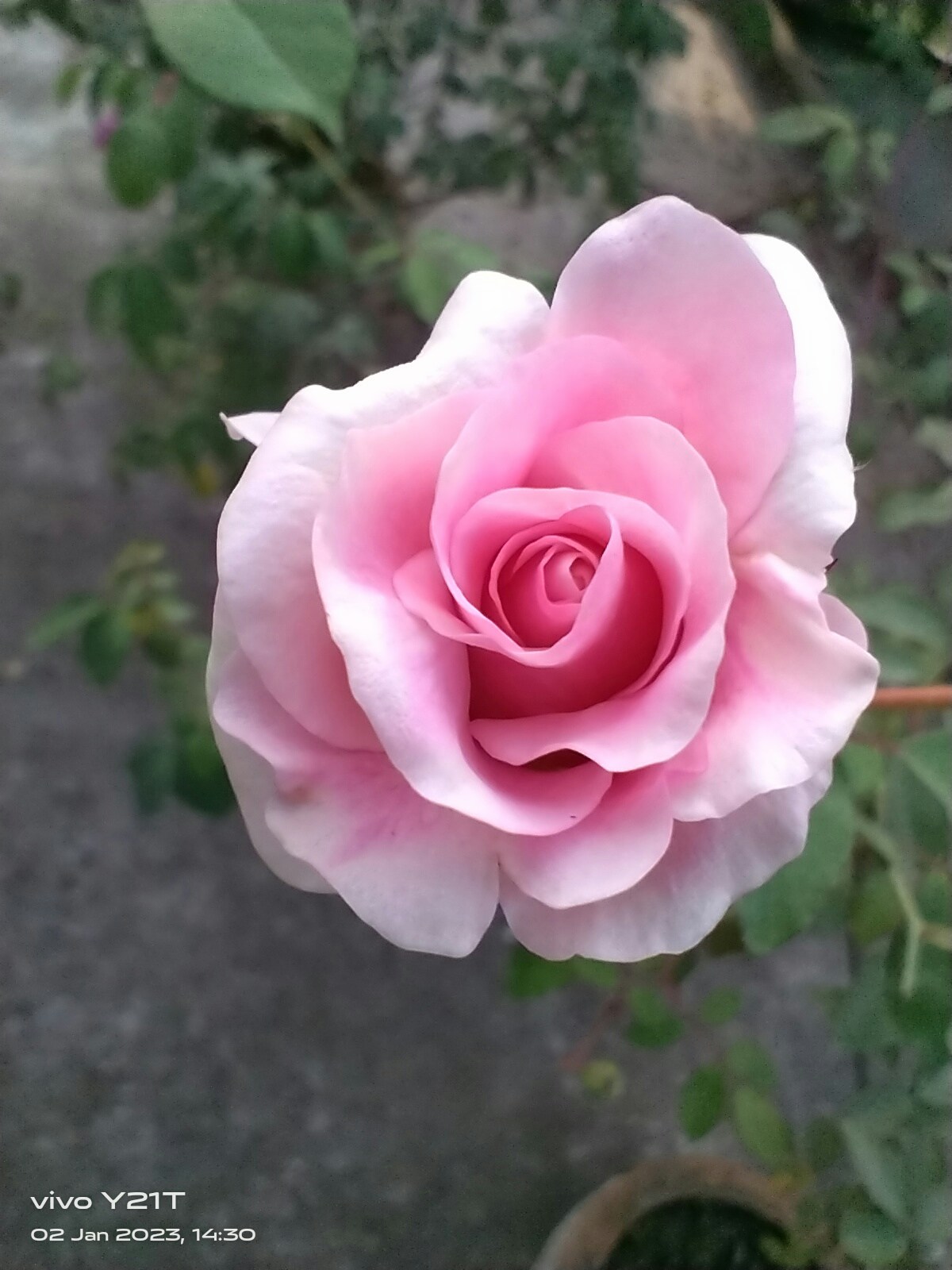 Go to Farhanmahin Ishrak's profile