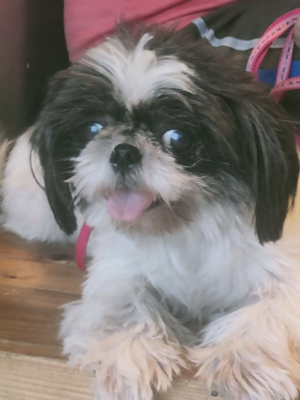 Go to Gianne's profile