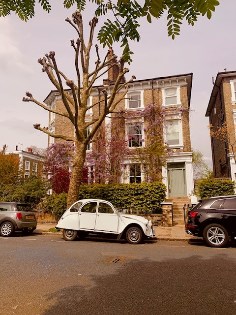 Go to Issy Bailey's profile