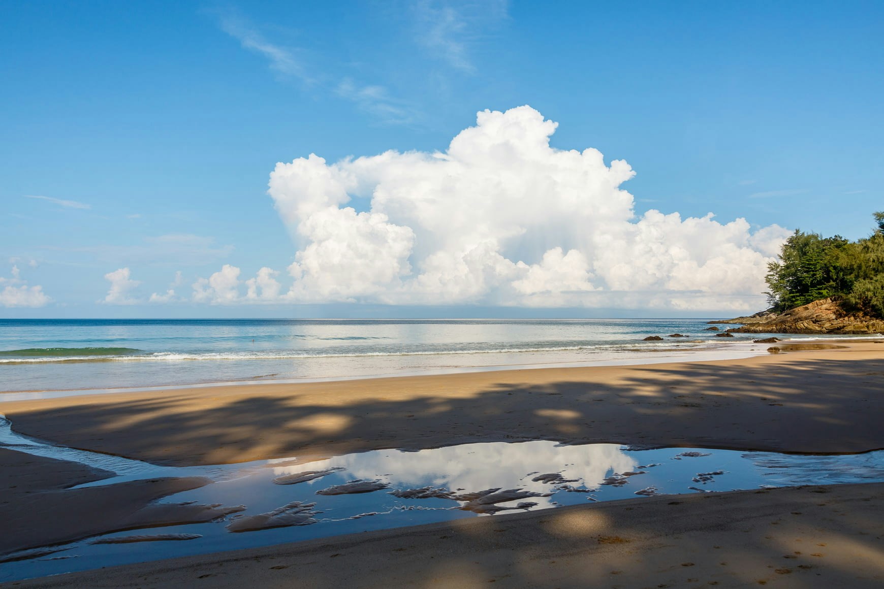 Zum Profil von wave wu