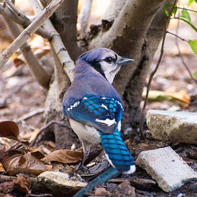 Go to Robin Teng's profile