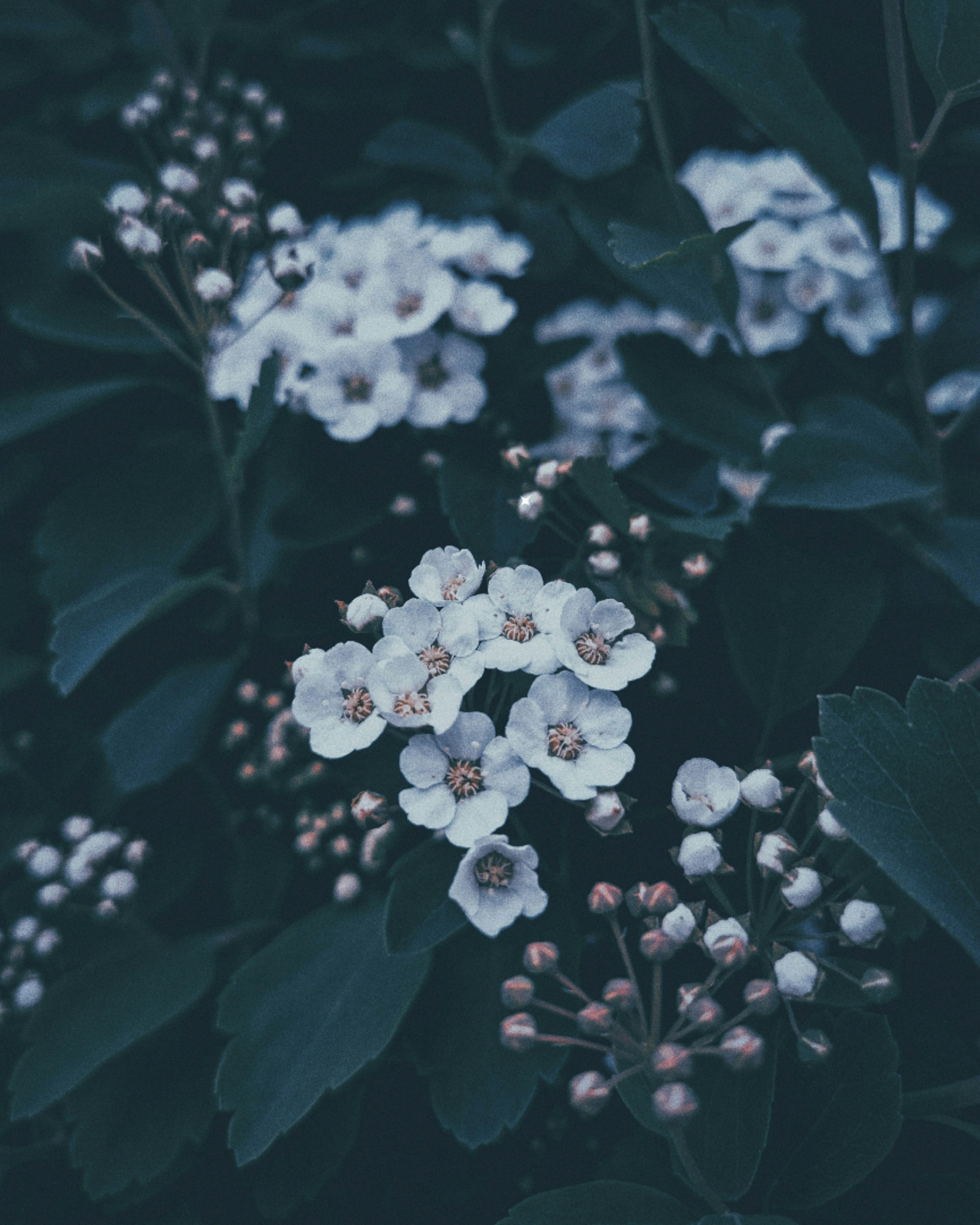 Go to Moira Liddell's profile