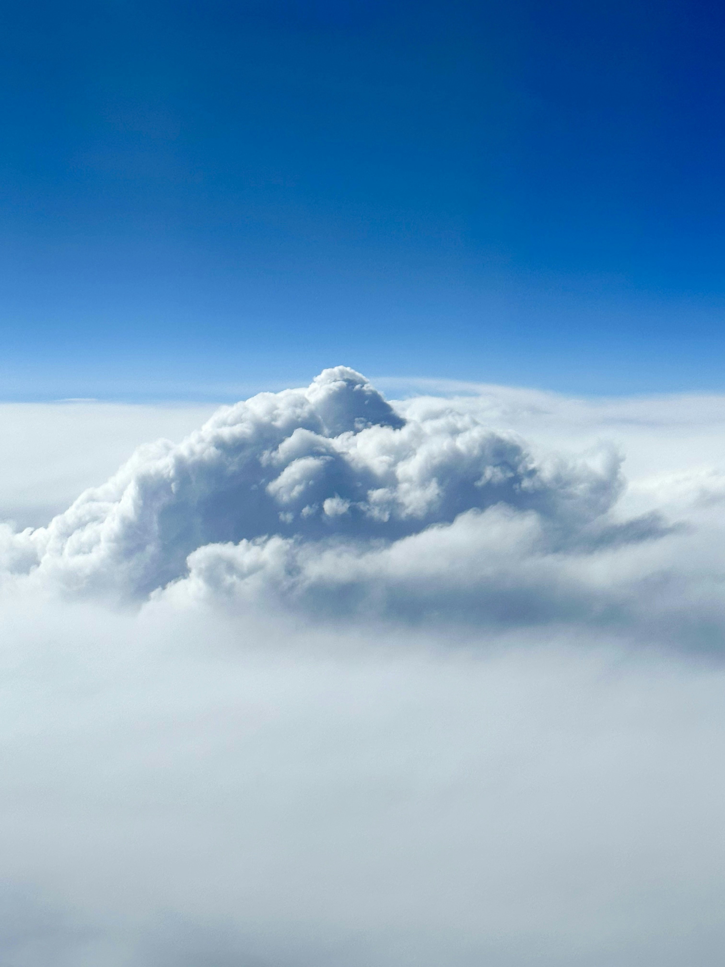 Vai al profilo di Kate Banar