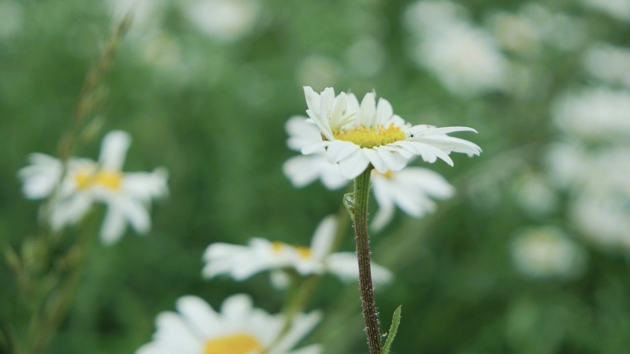 Go to Amy W.'s profile