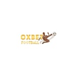 Avatar of user Oxbet football