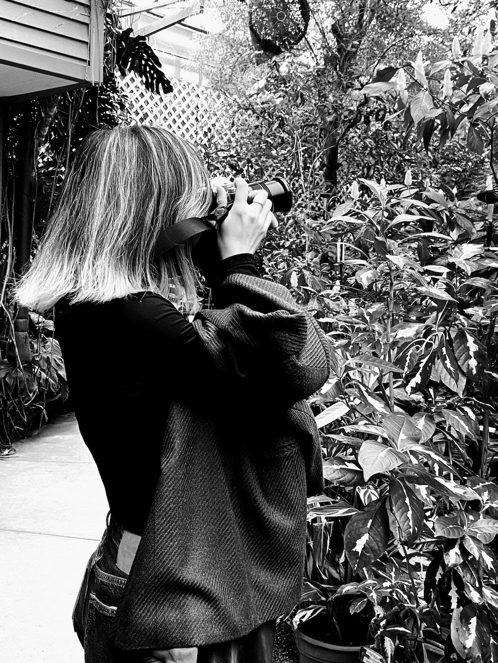 Go to Anqi Lu's profile