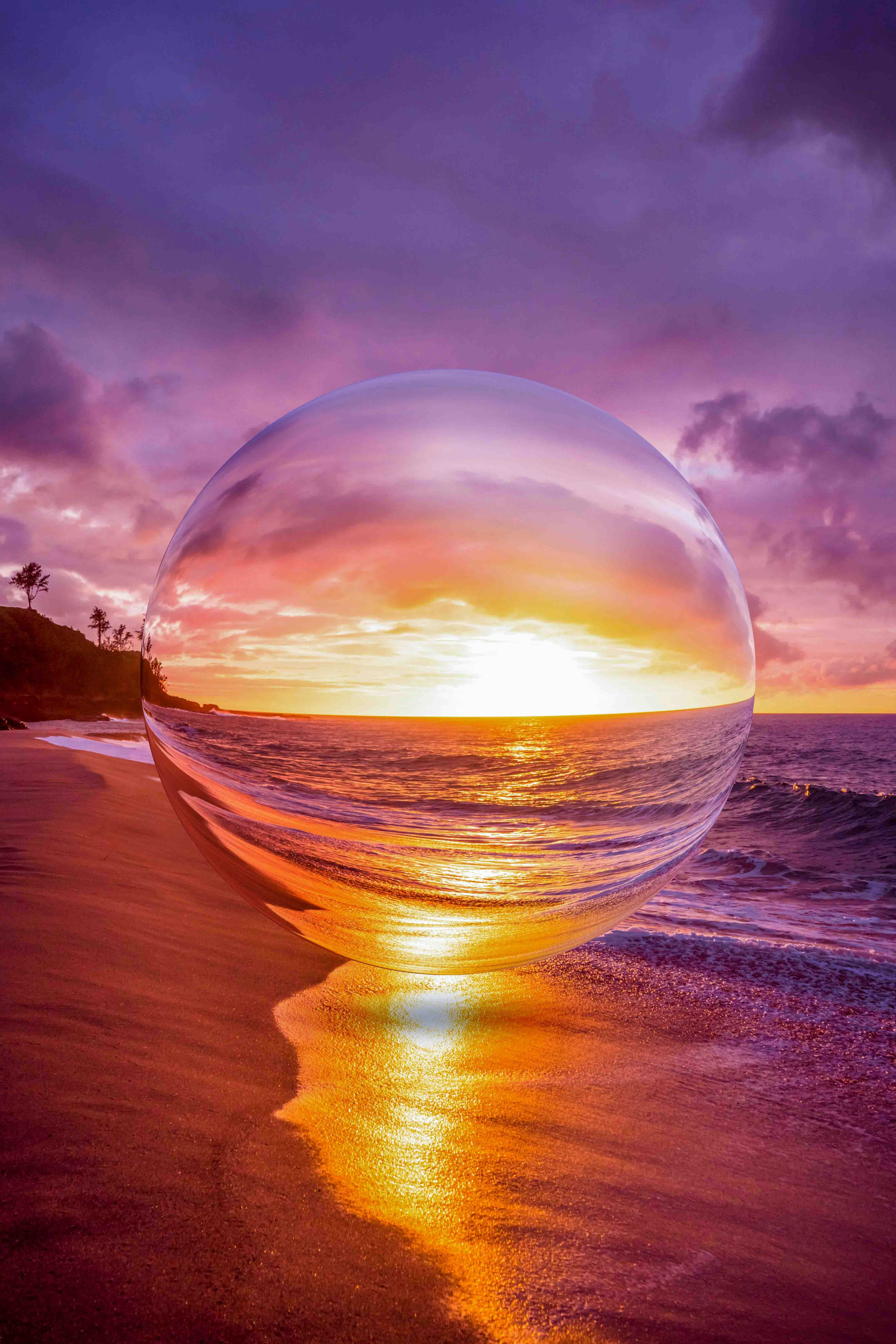 Niamh Wynneのプロフィールを見る